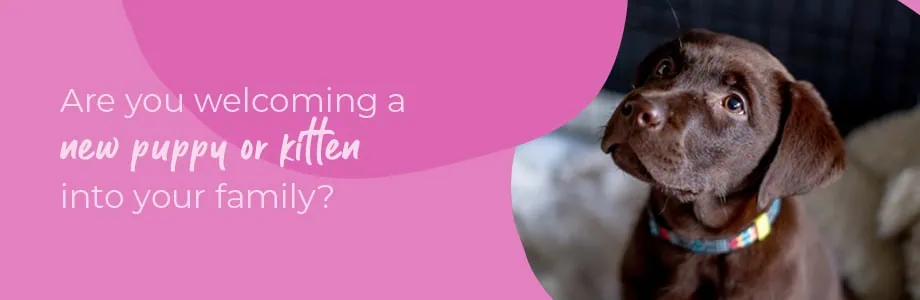Welcoming your new puppy or kitten