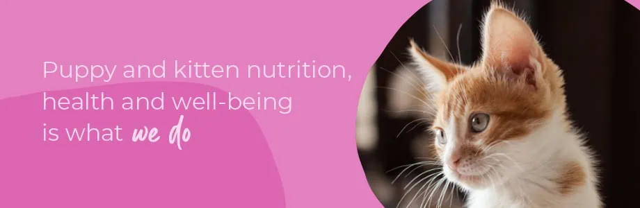 Welcoming your new puppy or kitten