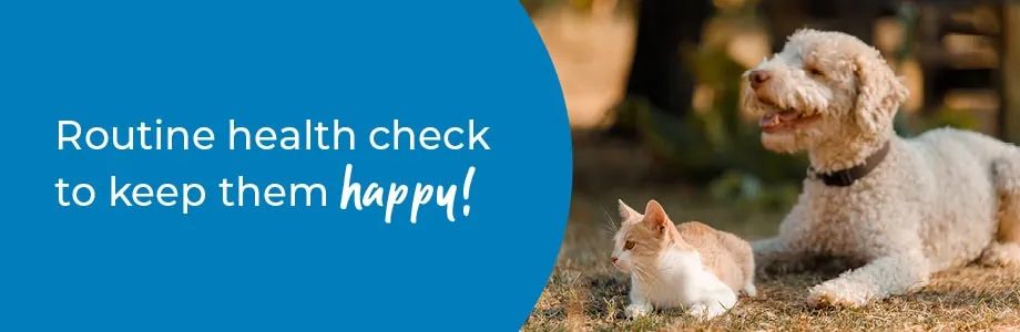 Pet Health Check in Staffordshire | Preventative Vet Care