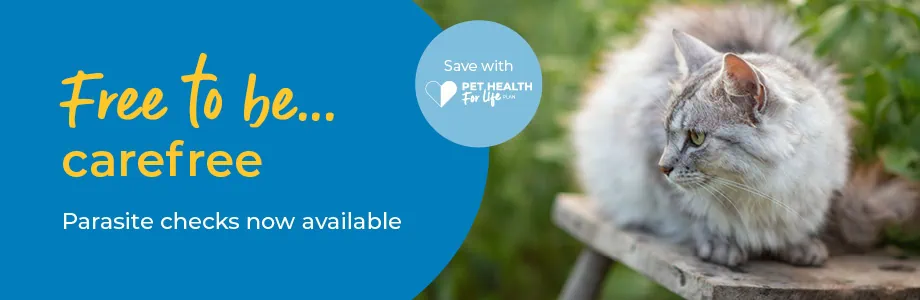 Dog flea and worm treatment, Cat flea and worm treatment